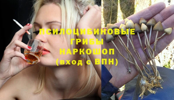 твердый Алапаевск