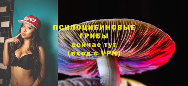 твердый Алапаевск