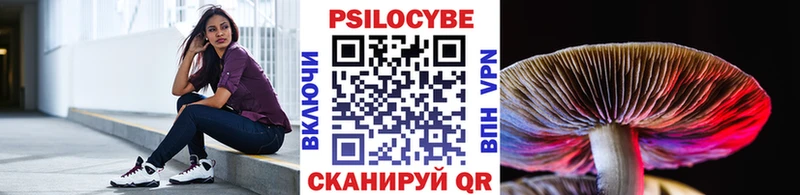 Галлюциногенные грибы GOLDEN TEACHER  kraken ТОР  Злынка  магазин   
